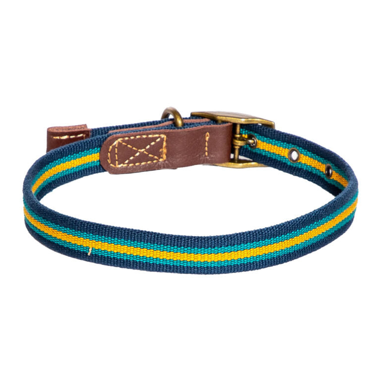 FatFace Bold Stripe Dog Collar & Lead Set