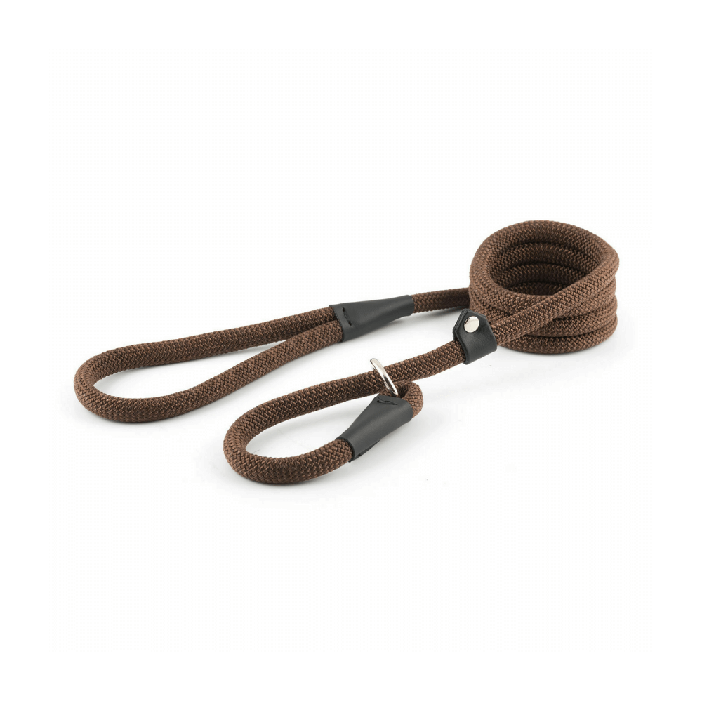 Ancol Deluxe Nylon Rope Slip Dog Lead – Brown