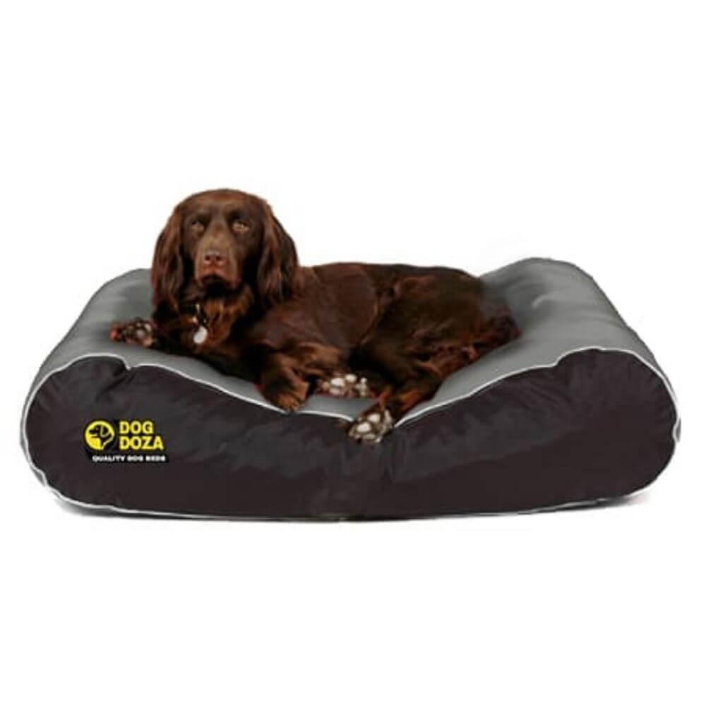 Dog Doza Active Style Box Border Dog Bed