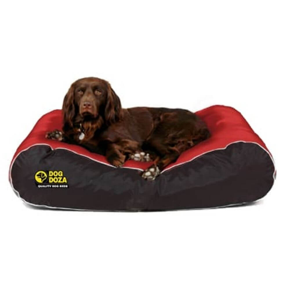 Dog Doza Active Style Box Border Dog Bed