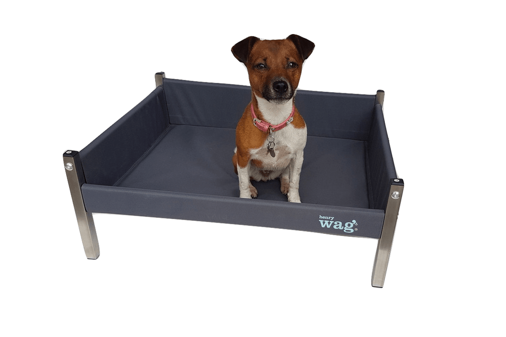 Henry Wag Elevated Dog Bed