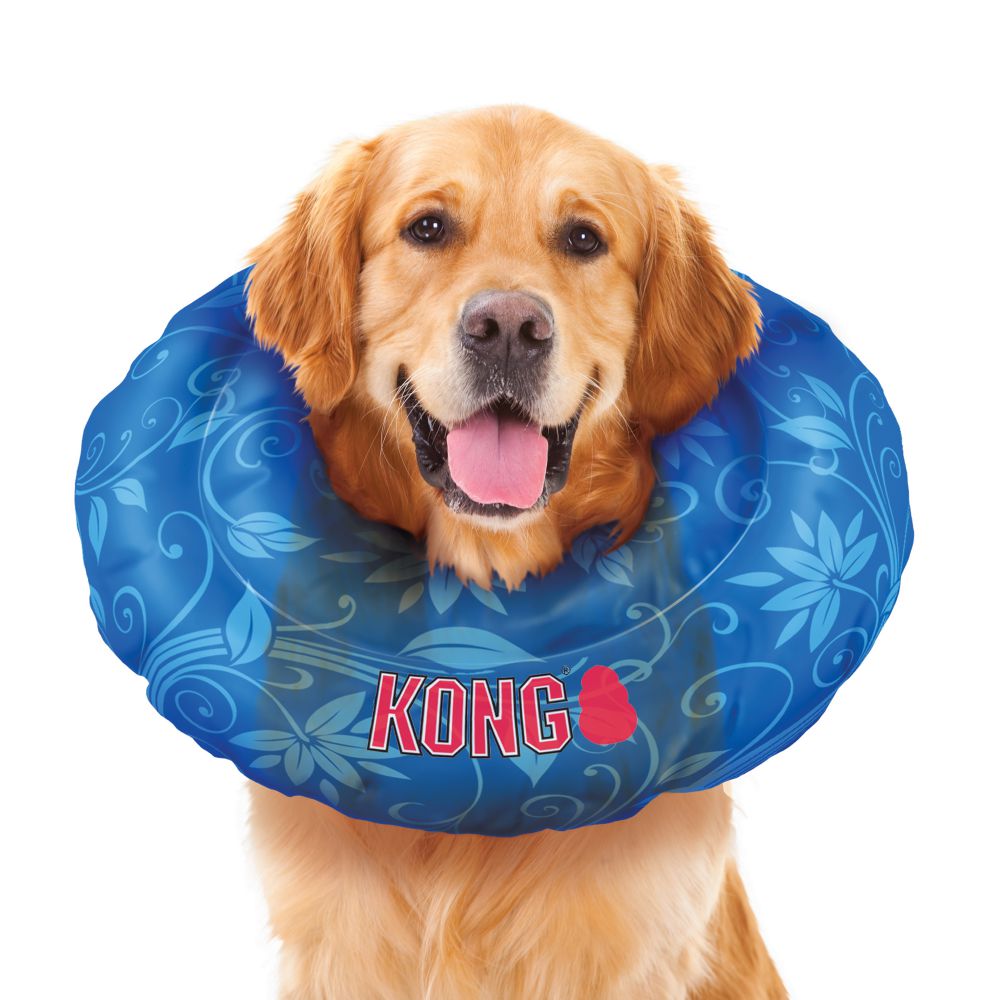 KONG Cushion Inflatable Dog Collar