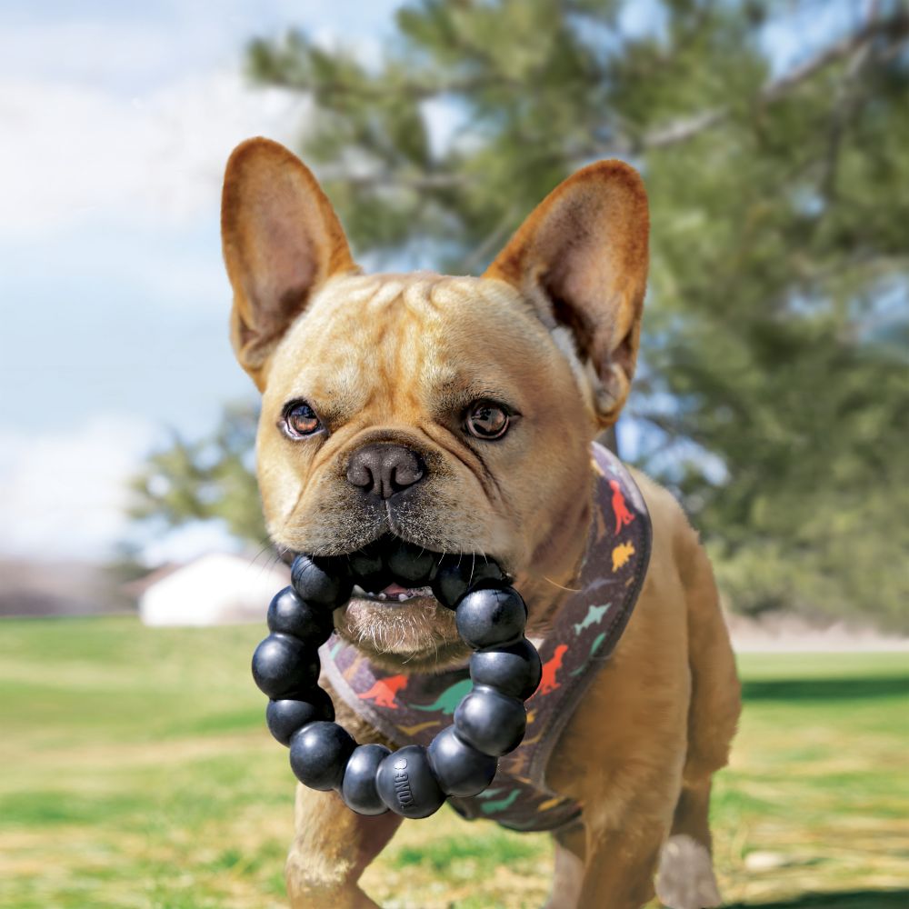 KONG Extreme Ring Dog Toy XL