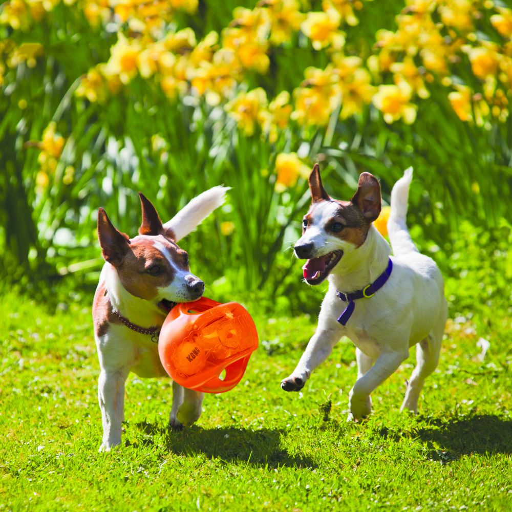 KONG Jumble Ball Dog Toy