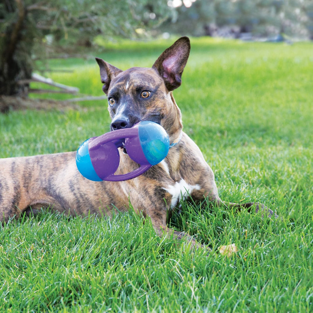 KONG Jumble Disc Dog Toy