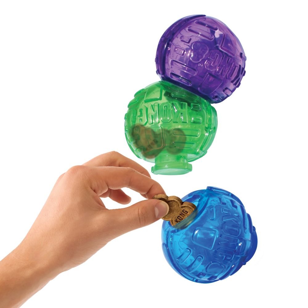 KONG Lock-It Dog Toy