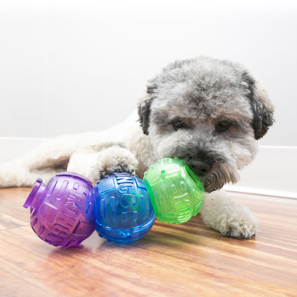 KONG Lock-It Dog Toy