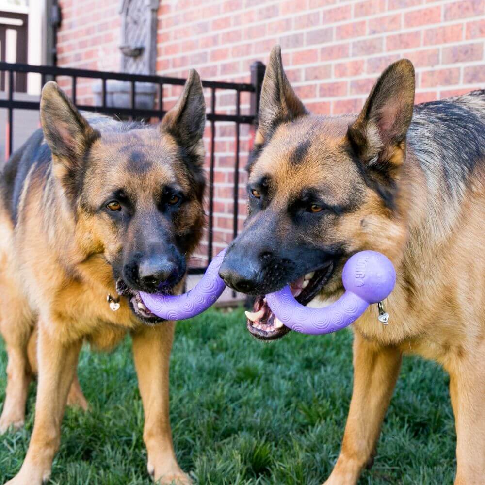 KONG Ogee Stick Dog Toy