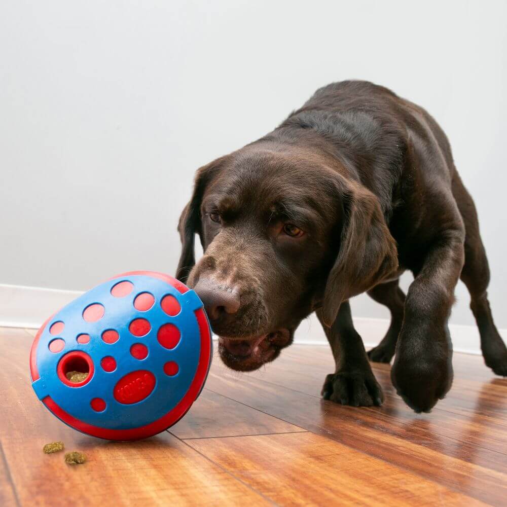 KONG Rewards Wally Treat Dispensing Dog Toy