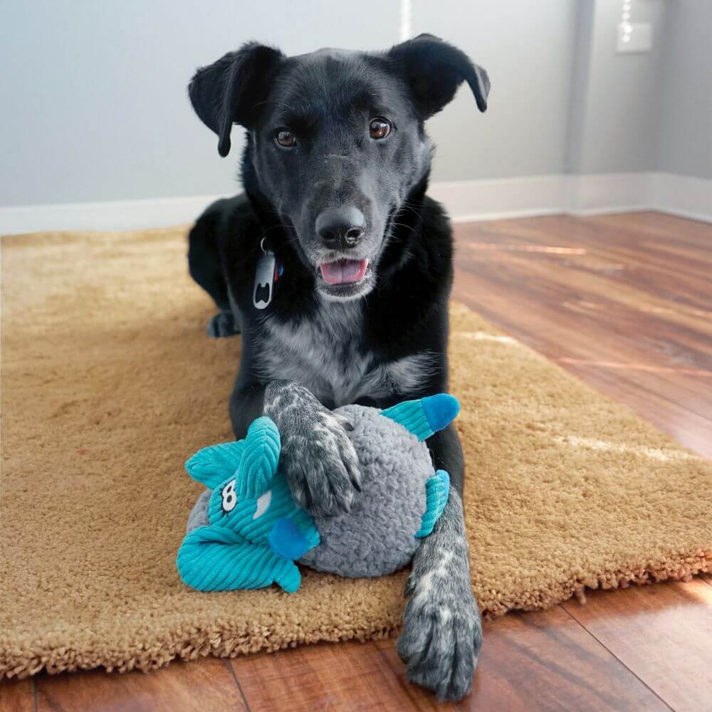 KONG Sherps Floofs Moose Dog Toy