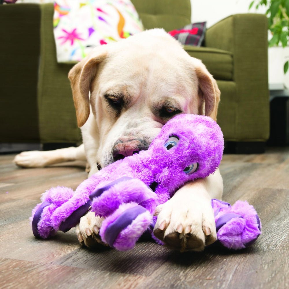 KONG SoftSeas Dog Toy