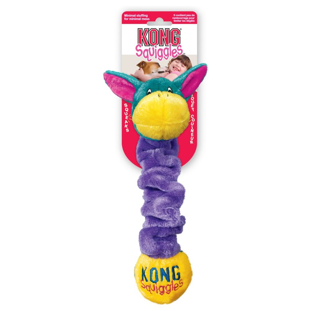 KONG Squiggles Squeaky Dog Toy