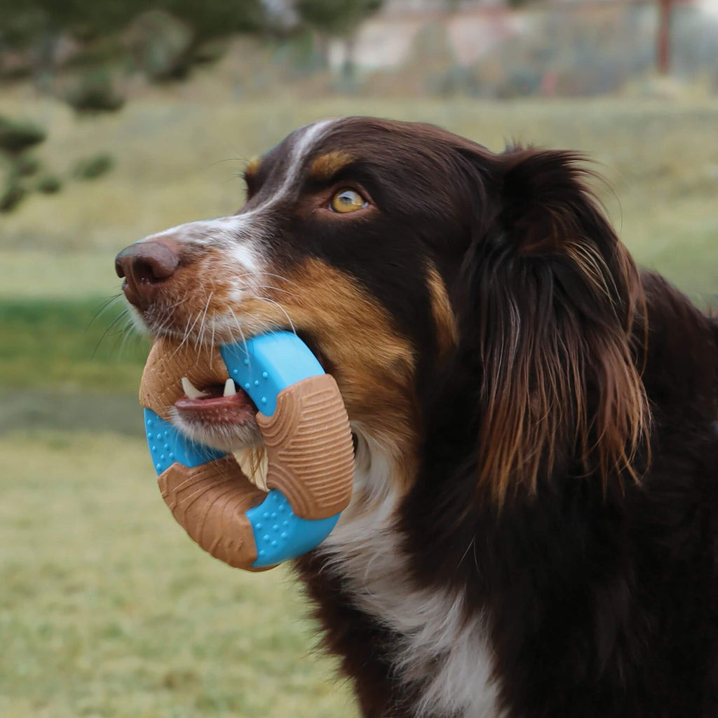 KONG CoreStrength Small Bamboo Ring Dog Toy