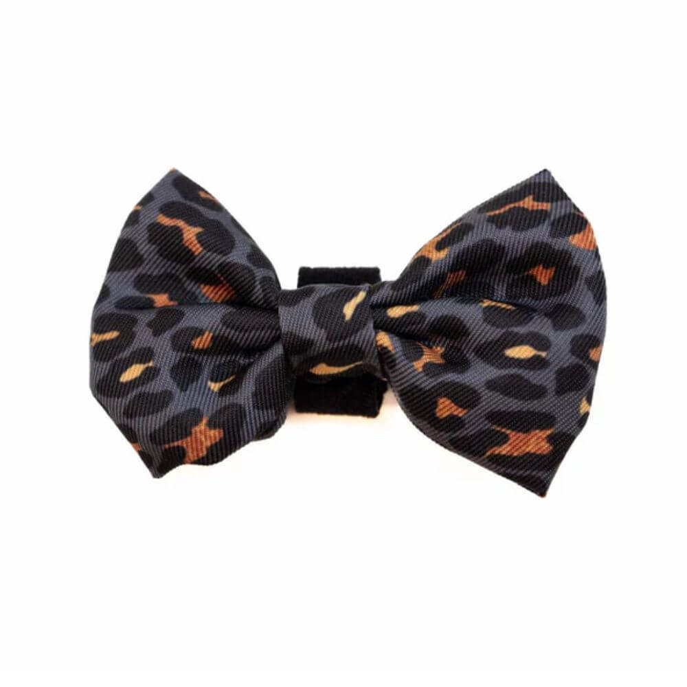 Long Paws Funk The Dog Bow Tie in Gold Black Leopard