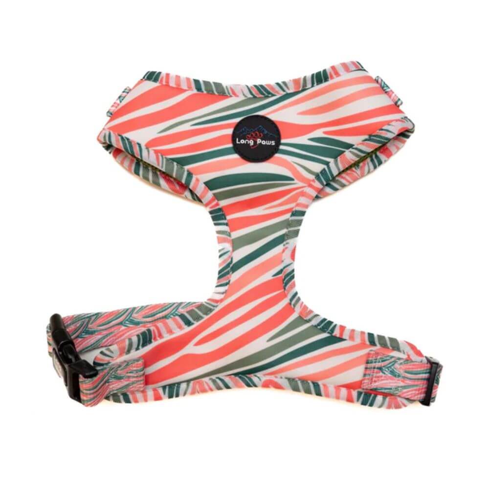 Long Paws Funk The Dog Harness in Pink Green Zebra