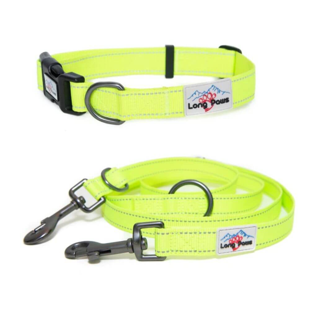 Long Paws Neon Collar & Reflective Training Lead Dog Walking Set