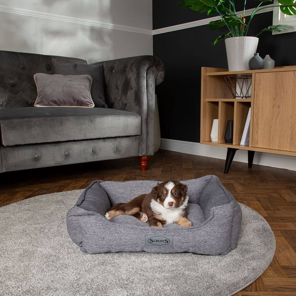 Scruffs Manhattan Dog Box Bed