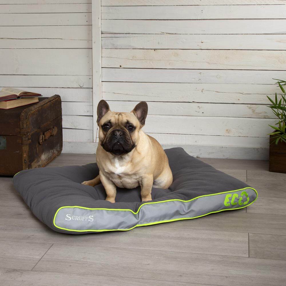 Scruffs Slimline Eco Mattress Dog Bed