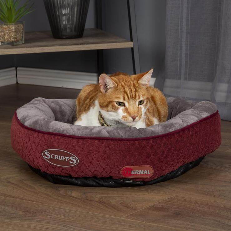 Scruffs Thermal Ring Cat Bed