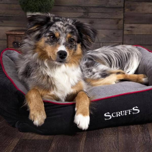 Scruffs Thermal Self Heating Box Bed