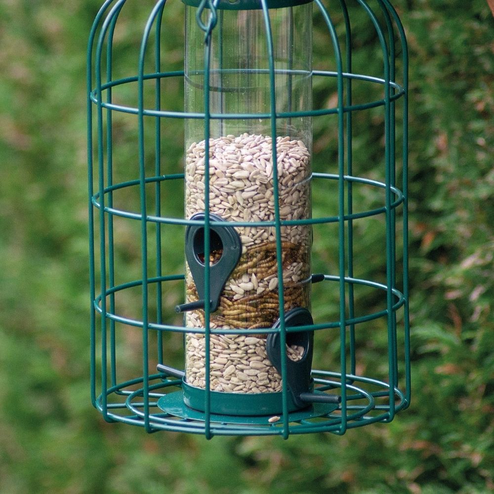 St Helens Home and Garden Squirrel Resistant Bird Feeder